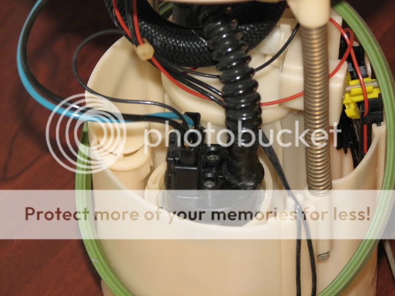 Fuel Filter Maxima Forums